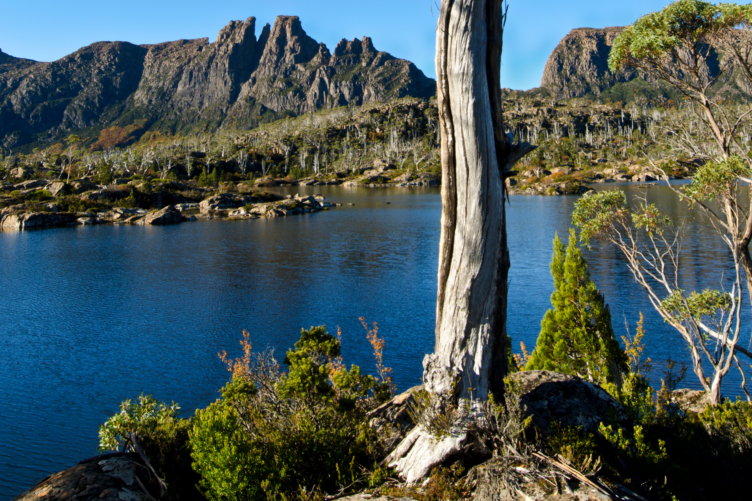 lake st clair national park, tasmania (2).webp